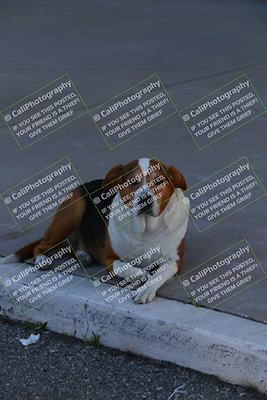 media/Mar-11-2024-Lets Ride (Mon) [[725e8a1c8d]]/Around the Pits/